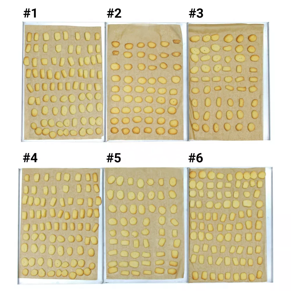 Пароконвектомат Distform MyChef Bake Pro 6 EN (600*400) (BCE6100D)