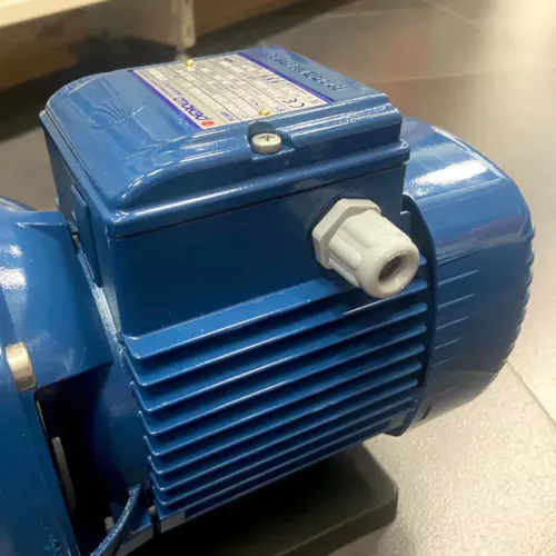 Pedrollo MAGNIFICA 1 центробежный насос 43MA011A