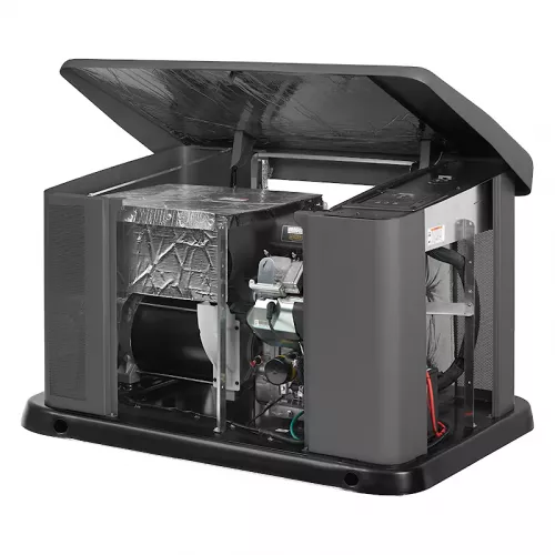 Briggs & Stratton G110 газовый генератор 40491