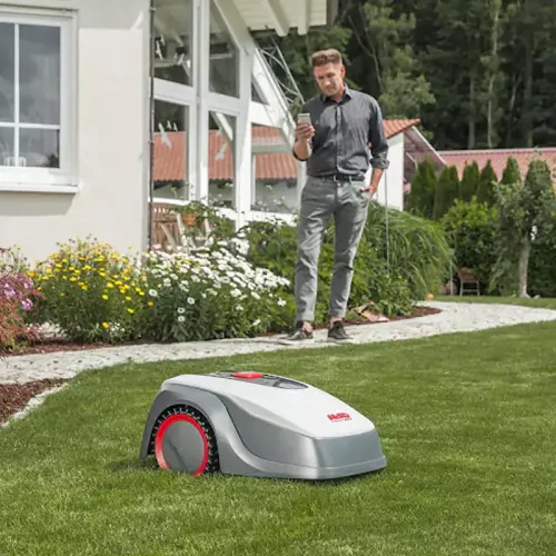 AL-KO Robolinho 500 W робот-газонокосилка 119925